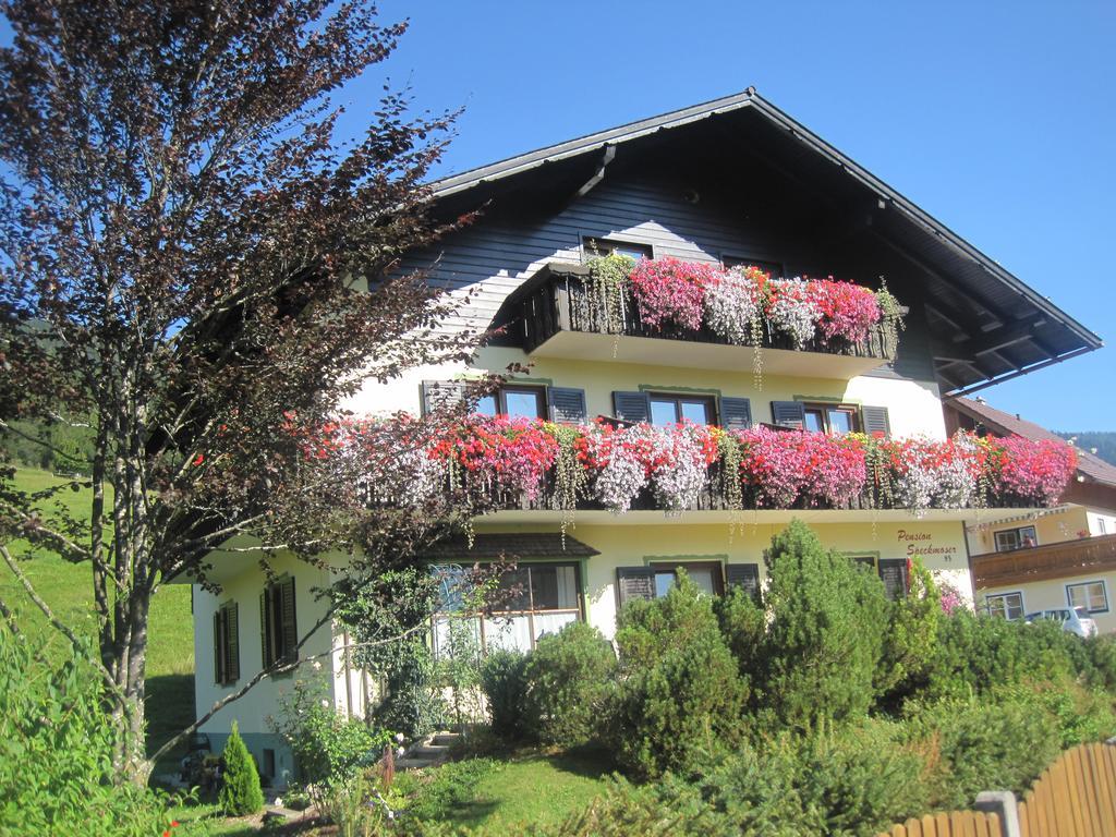 Pension Speckmoser Bad Mitterndorf Exterior foto