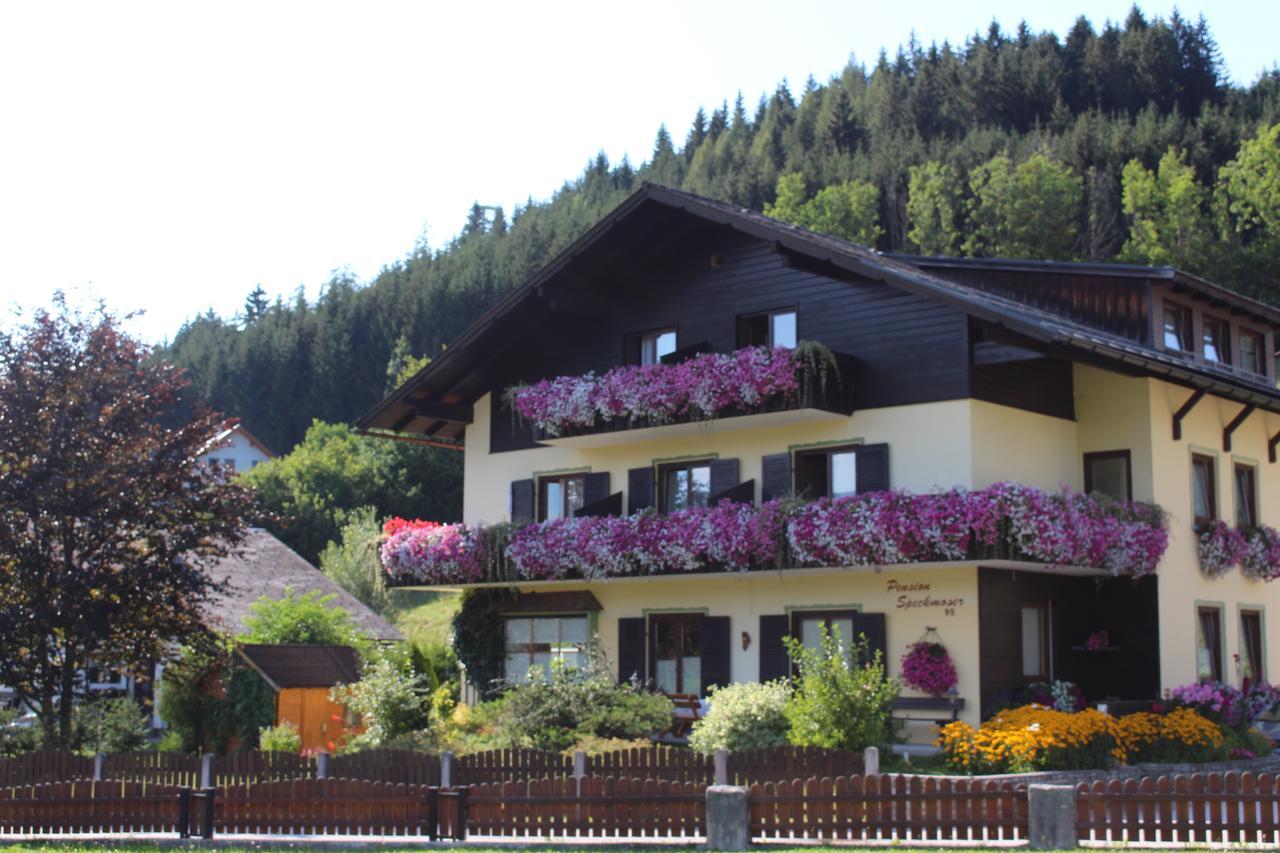 Pension Speckmoser Bad Mitterndorf Exterior foto