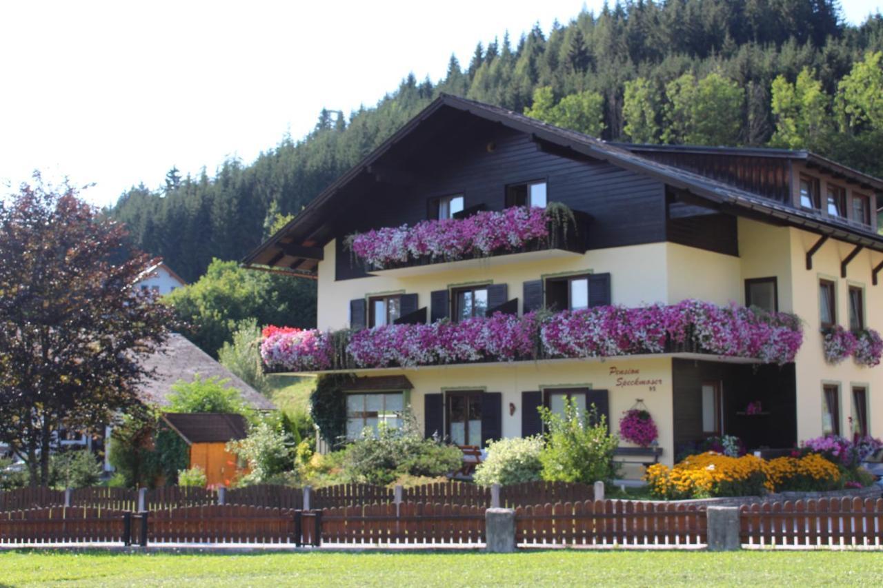 Pension Speckmoser Bad Mitterndorf Exterior foto